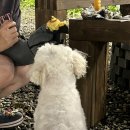 도화별장 이미지