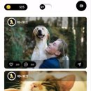 애니워크 이미지