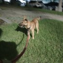 두번째산책 이미지