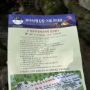 큰마당캠핑장 | 포천계곡캠핑장 큰마당캠핑장 물놀이 광복절 캠핑