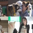 슬기농장 2 이미지