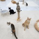 가창로216길 이미지