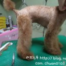 마린시티종합동물병원 이미지