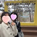 문화관광형시장종합센터 | [원주] "소금산 그랜드밸리" 관광 정보 총정리: 원주 시티투어 버스로 편하게 출렁다리 다녀왔어요