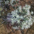 월출농장 이미지