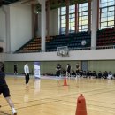 엘리트메디 이미지