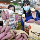 영암농협하나로마트 이미지