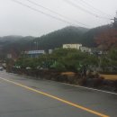 순천농협황전지점