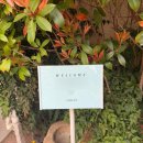 인스타감성 라탄 아크릴 액자 | W6. 대구 토탈 웨딩스튜디오 비니비치&amp;티암 촬영 후기