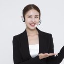 도리상조 이미지