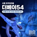 11260-2-1-54 | 시흥 아쿠아리움 더베이54｜6개월 아기랑 다녀온 내돈내산 후기