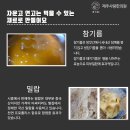 상비한의원 Daum카페