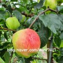 이현농장 이미지