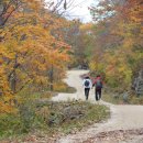 회남재길 이미지