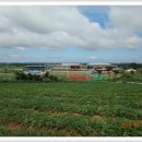 무안스포츠파크 이미지