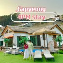 4PM STAY 이미지