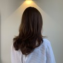 헤어블레스 이미지