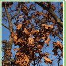 해물,그리고 이미지