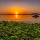 여기,초록 이미지