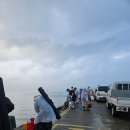 신리수산 | [주말 체크인] 충남 당진 1박2일 (왜목마을 좌대낚시, 장고항 회센터, 신리성지)