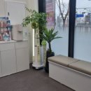 맑은미소약국 이미지