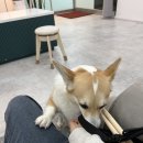 라젯트성인전문음악학원 이미지