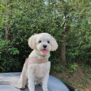 칠곡기독의원 이미지