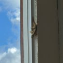 메디메이드 이미지