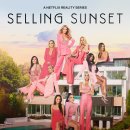 셀링선셋부동산중개 이미지