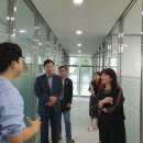한국수영협회 이미지