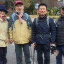 팔산 이미지