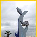 울산 장생포고래박물관 이미지