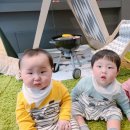 슈슈봉봉 이미지