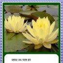 5분 명상-356.막연한 생각 이미지