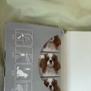 성정천사약국 이미지