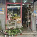 난곡동-20 | 신림 난곡동 아늑한 동네 꽃집 꽃코지 🌼
