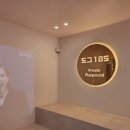 도그185 강아지미용실 이미지