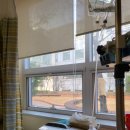 전원말5길 3 | 보라매병원 고위험군산모집중관찰실 이동 ! 그리고 전원! (분만장.산과 의료진분들 최고 짱♡)