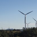 동복 태양광발전소 파이낸셜뉴스