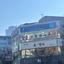 전일복싱클럽 화정관 | 상무지구 운동, 치평동 전일복싱 5년차 회원의 리얼 후기