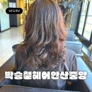 수석프라자 | 박승철헤어안산중앙점 쉽고 간편한 스타일링 빈티지펌 나리수석디자이너 리얼후기