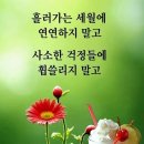 9/23 일의 걷기...연휴기간중 독감,코로나 조심하시고 조상님음덕많이받으세요 이미지