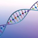 씨티과학 이미지