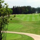 ㈜타미우스골프앤빌리지 | 제주 타미우스cc 혜택 제우스 회원권 가격