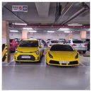 털보벽지 이미지