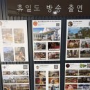 애견세계 | 경기도 가볼만한곳 애견동반 찜질방 이천 애견카페 휴일도 이천점 재방문 후기