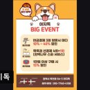 아지독 | (평택, 강아지, 고양이, 애견미용, 추천!) 아지독 아지독: 맞춤 케어로 반려동물 행복