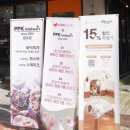 광교 연말모임추천 파스타 맛집 PPK키친 광교점 애견가능