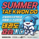 현대태권도 이미지