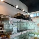 야옹아 부탁해 이미지